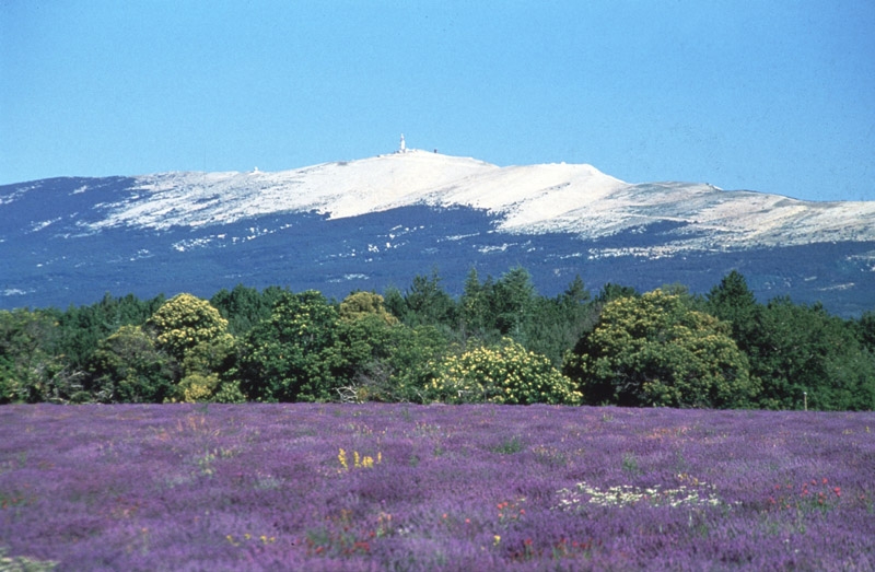 84-Ventoux2