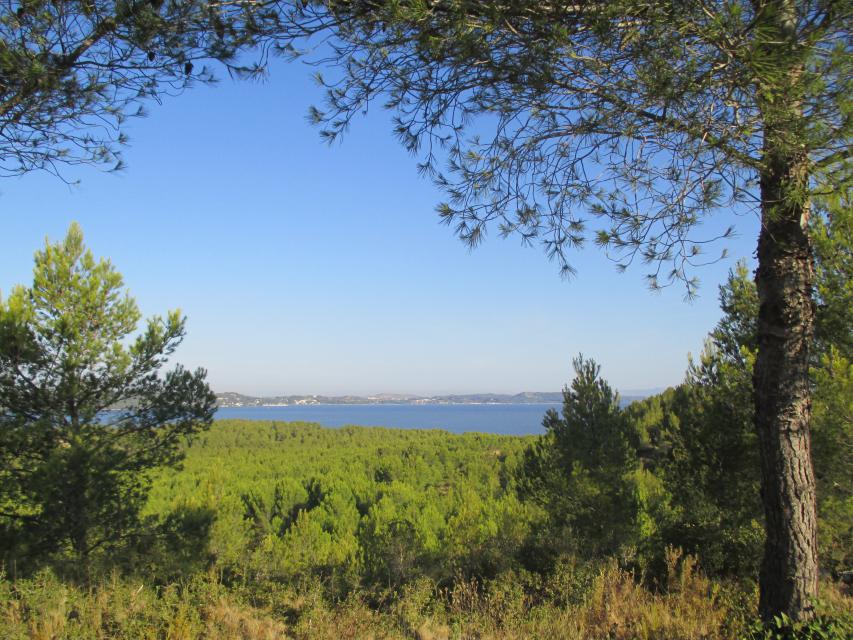 2016 09 22  03 Saint Mitre  CV